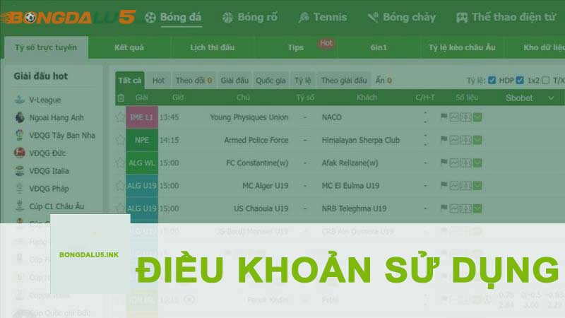 Các điều khoản tại Bongdalu