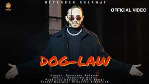 Dog Law

