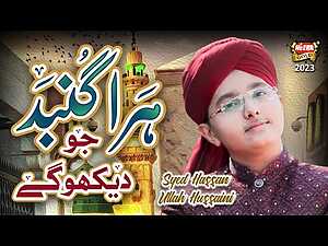 Hara Gumbad Jo Dekhoge Lyrics Syed Hassan Ullah Hussaini - Wo Lyrics