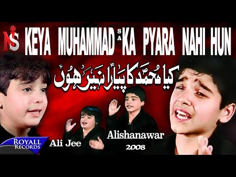 Kiya Muhammad Ka Pyara Nahi Hun Noha Lyrics Ali Jee, Ali Shanawar - Wo Lyrics