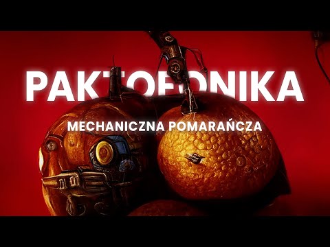 Mechaniczna pomarańcza Lyrics Paktofonika - Wo Lyrics