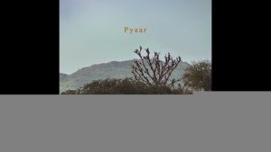 Pyaar Mp3 Song Download  By MITRAZ