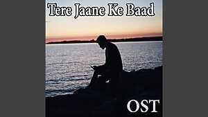 Tere Jaane Ke Baad OST