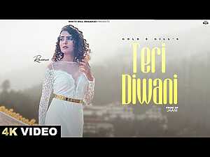 Teri Diwani Lyrics Gold E Gill - Wo Lyrics