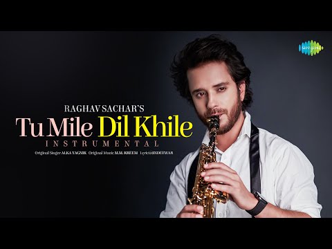 Tu Mile Dil Khile Lyrics Alka Yagnik - Wo Lyrics