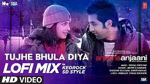 Tujhe Bhula Diya LoFi Mix
