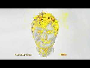 Wildflowers Lyrics Ed Sheeran - Wo Lyrics